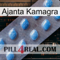 Ajanta Kamagra viagra3